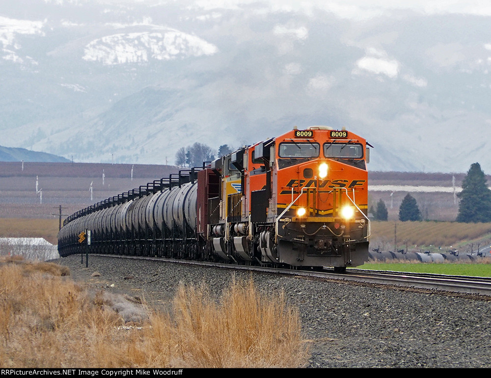 BNSF 8009